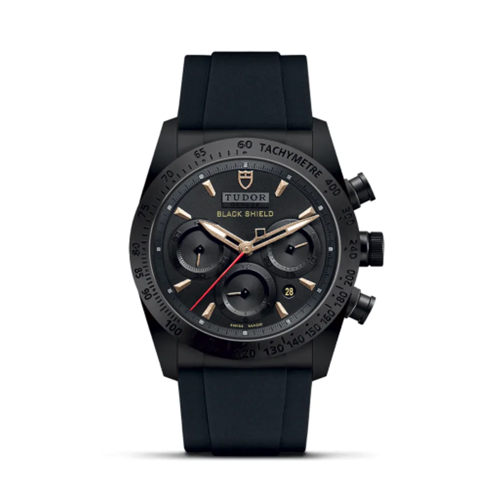 Tudor Fastrider