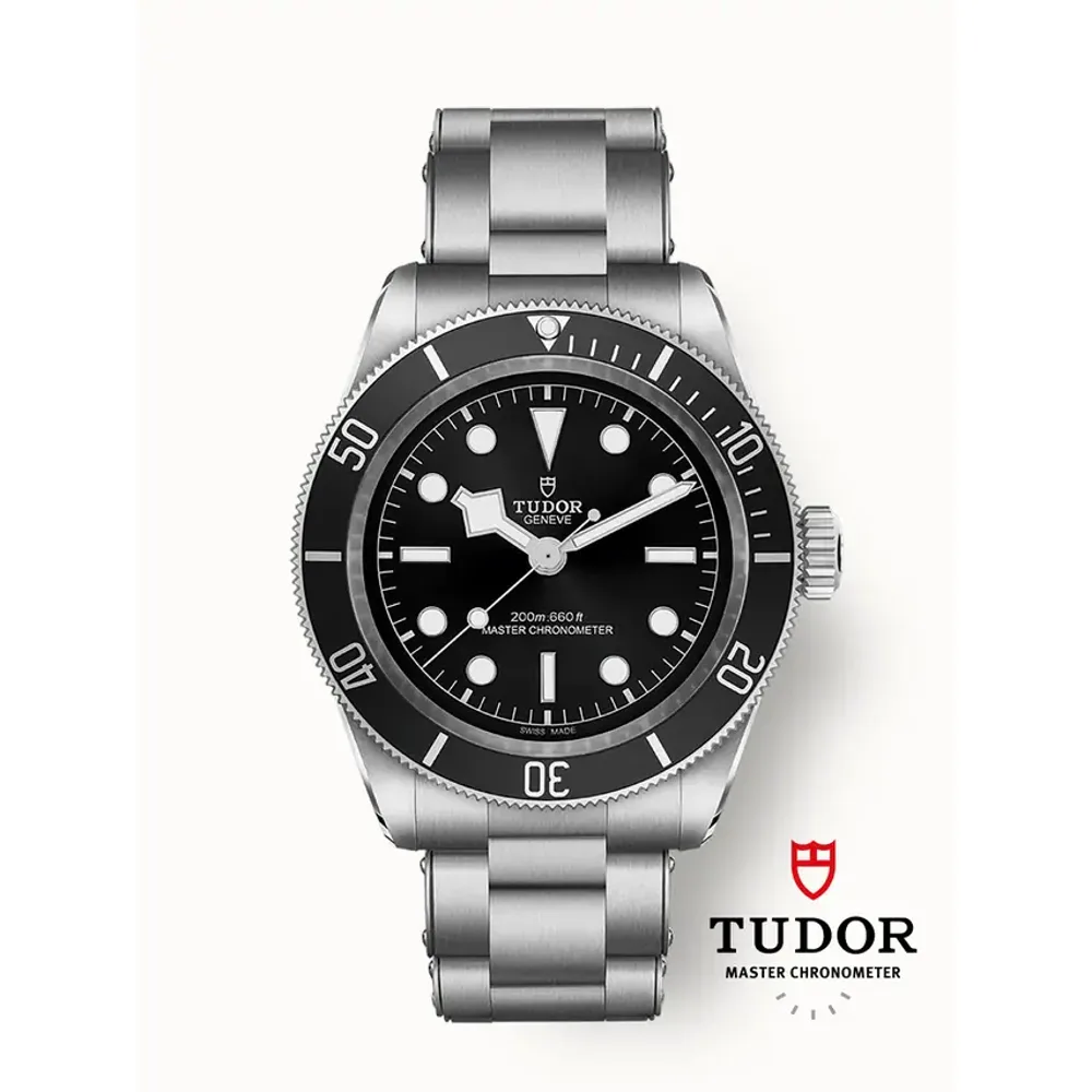 Tudor Black Bay